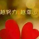 绿萝