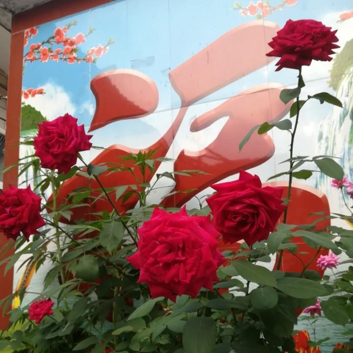 鑫来聚春