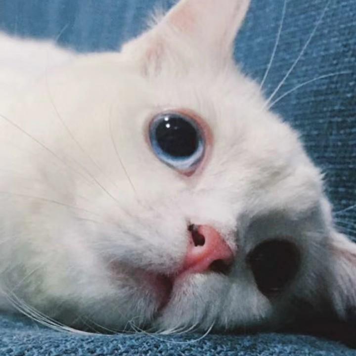 辣毙小心