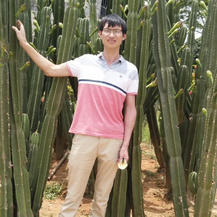 今菲惜李