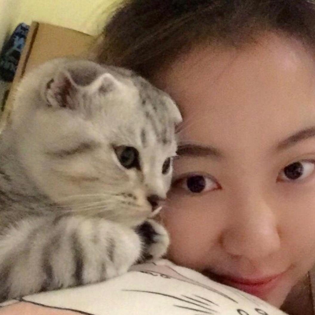 球蛋的越越酱@抖音