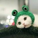 Kitty_Sweety