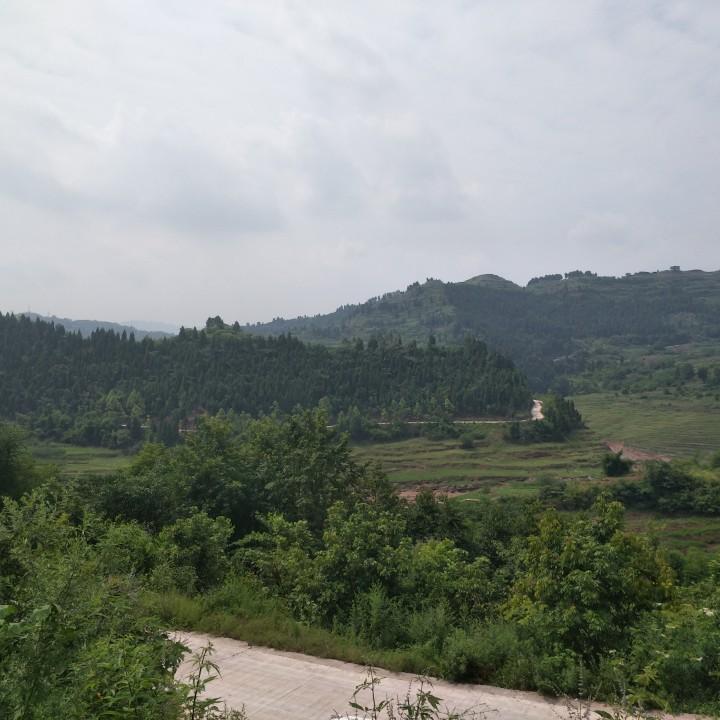 A平平淡淡才是真。1