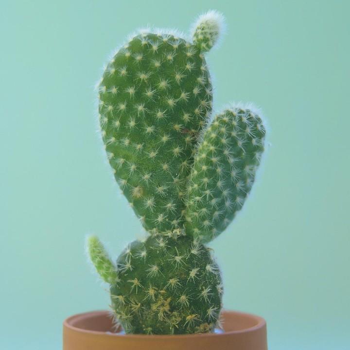 修炼