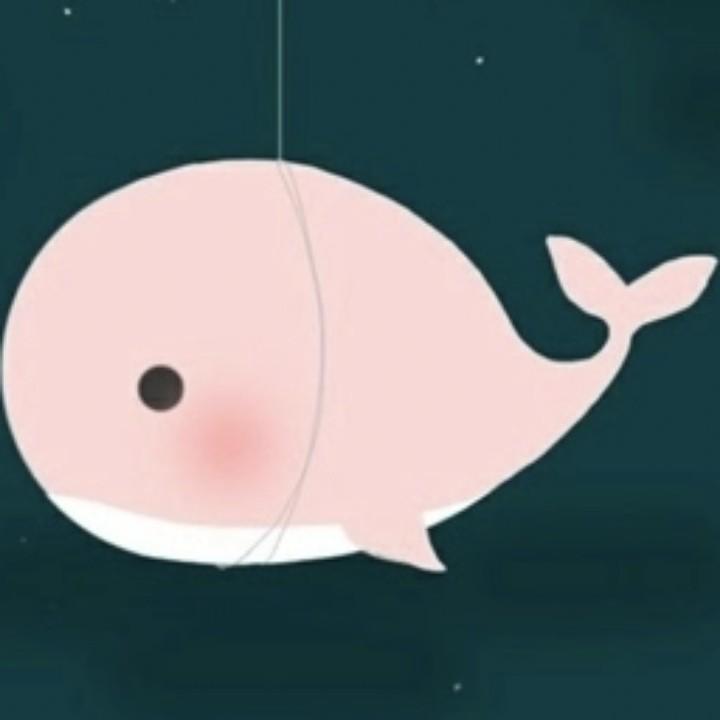鲸鱼🐳