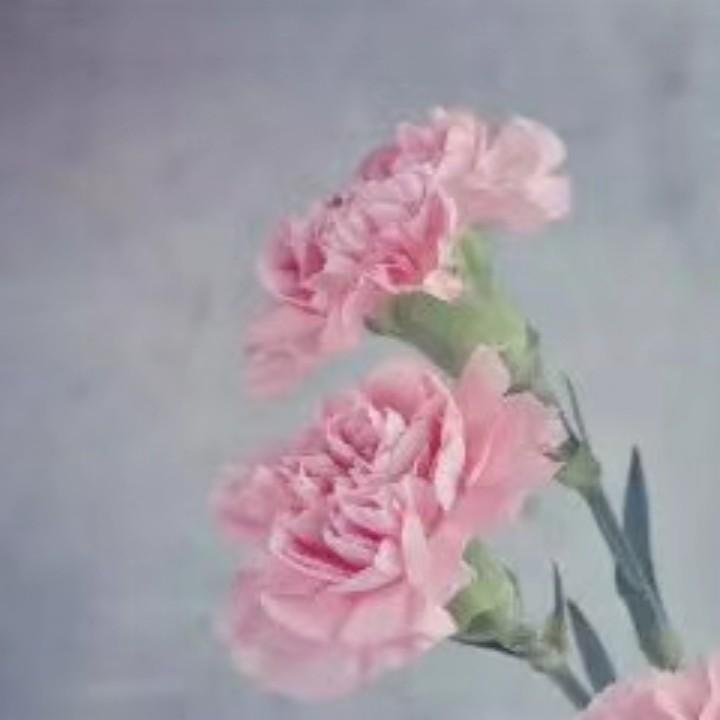 娜娜