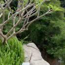 傲雪家姐姐伤不起