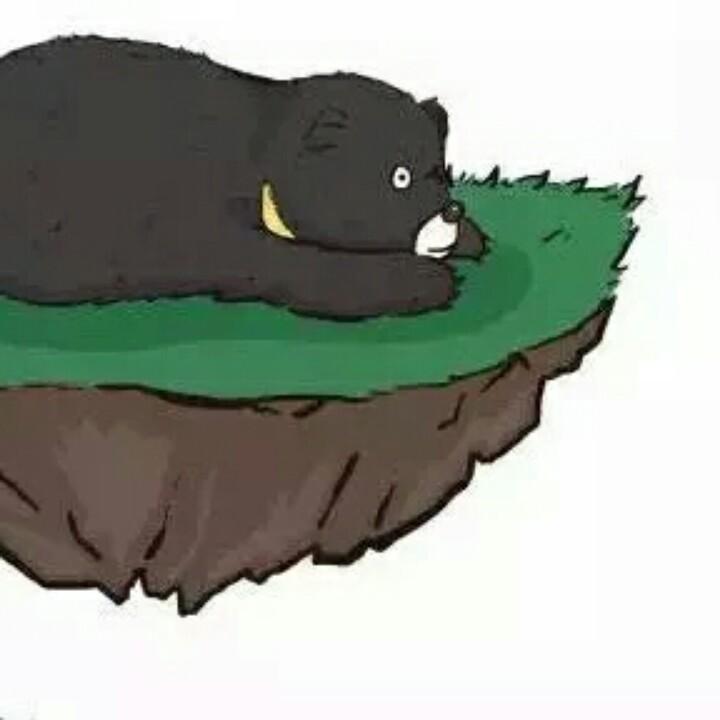 怀民亦未寝