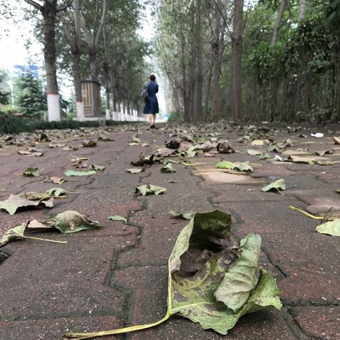 家喻影视