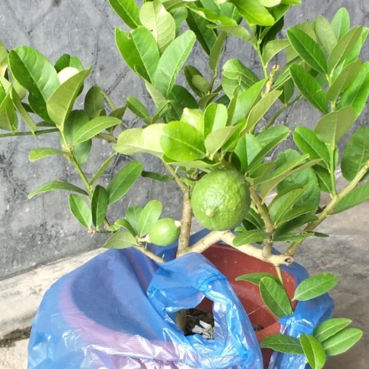 快叔回收家用电器