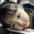 沈玉红，