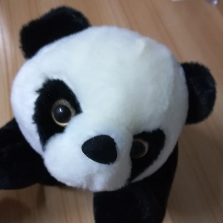 小曹曹