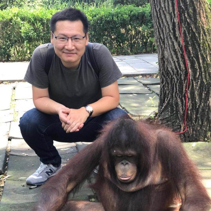 树下乘凉-宁波乾居说房