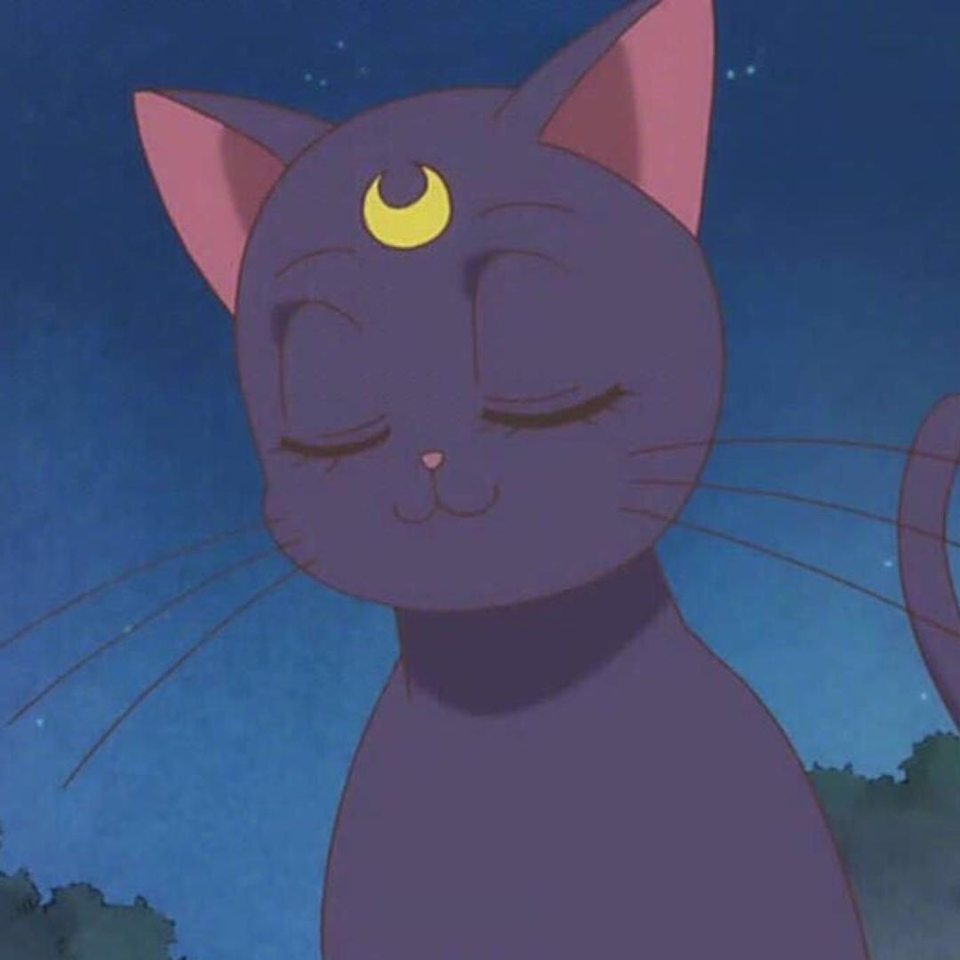 小锅爱吃火锅💜