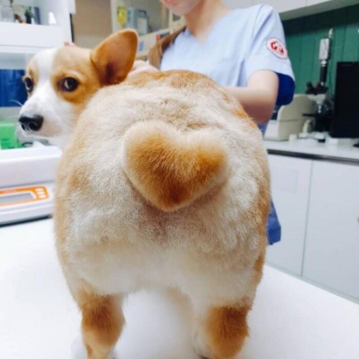 纪云钧