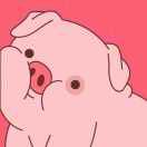 a不停看剧