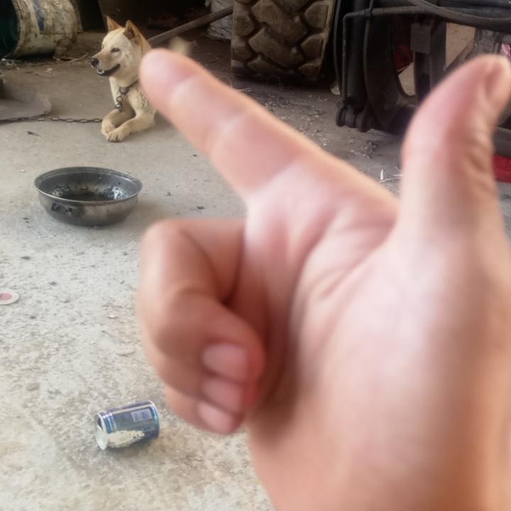 南宁老表