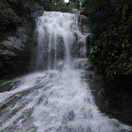 忘不了曾经的你