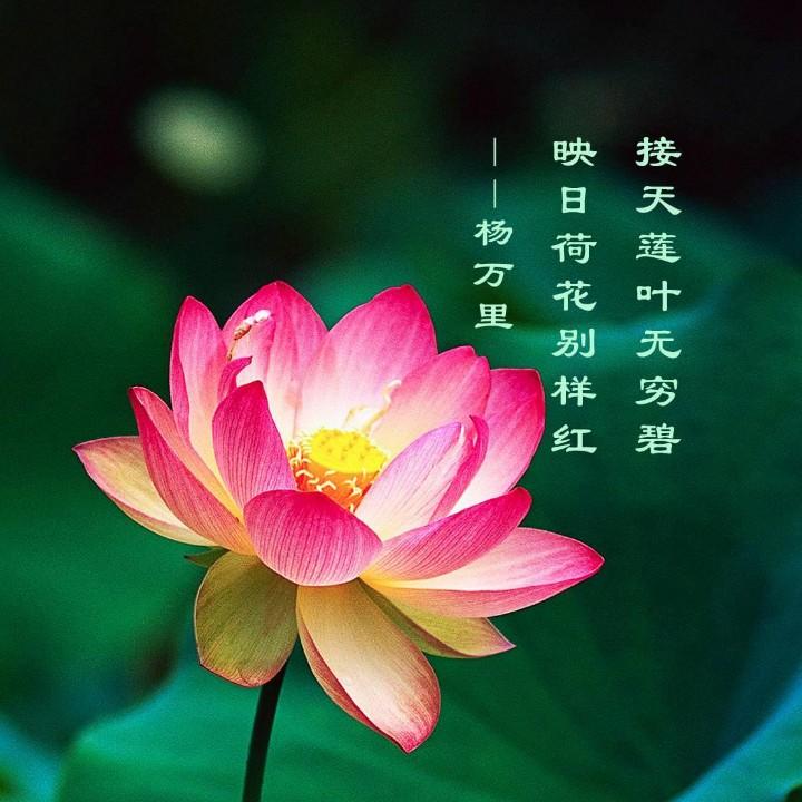天知道