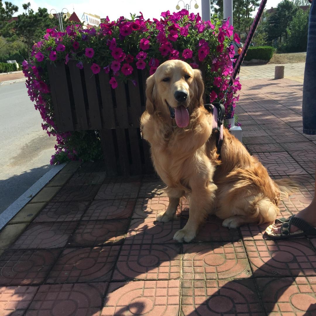 👄毛先森🌹的幸福生活❤️