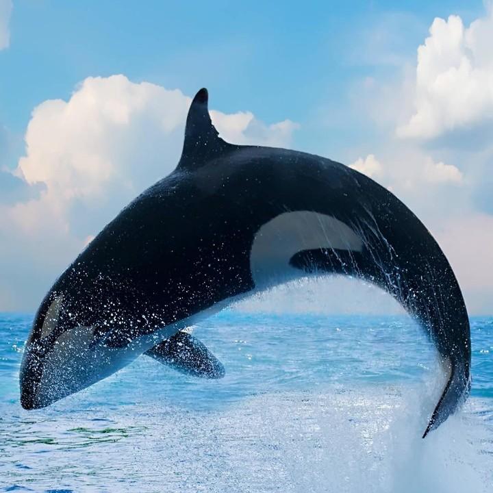 英雄无敌