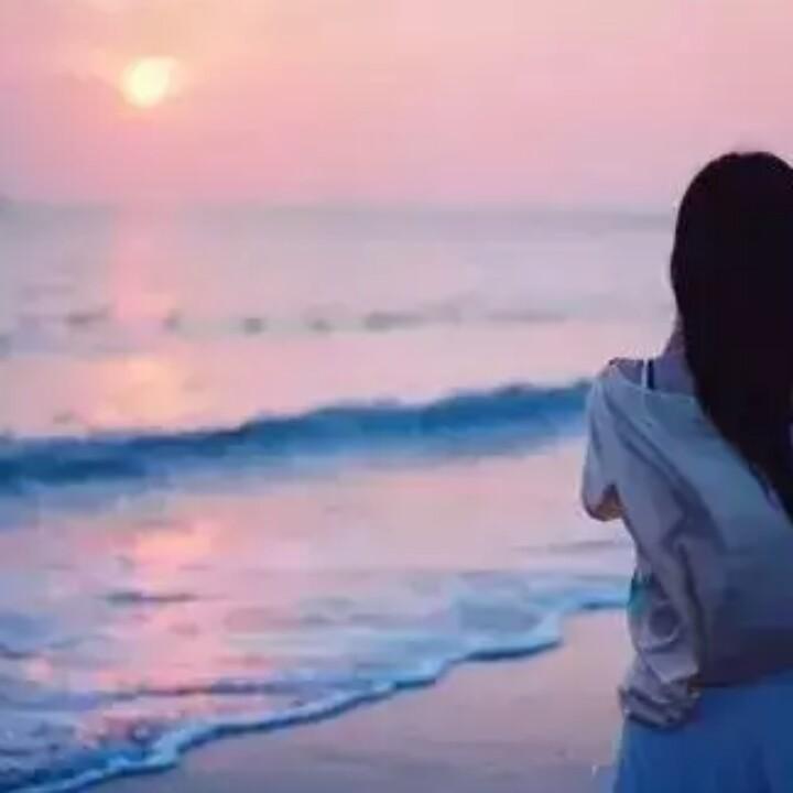 灵芝