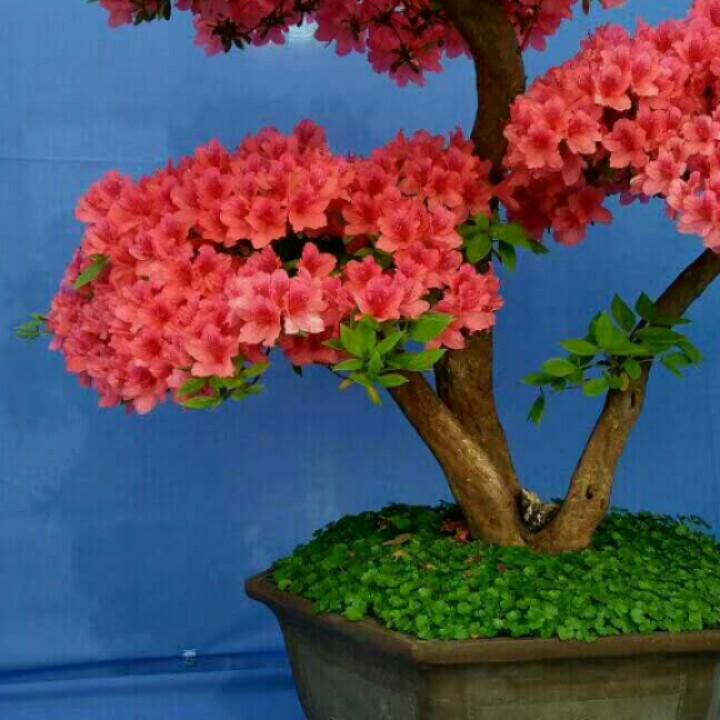 开开心心过好每一天。