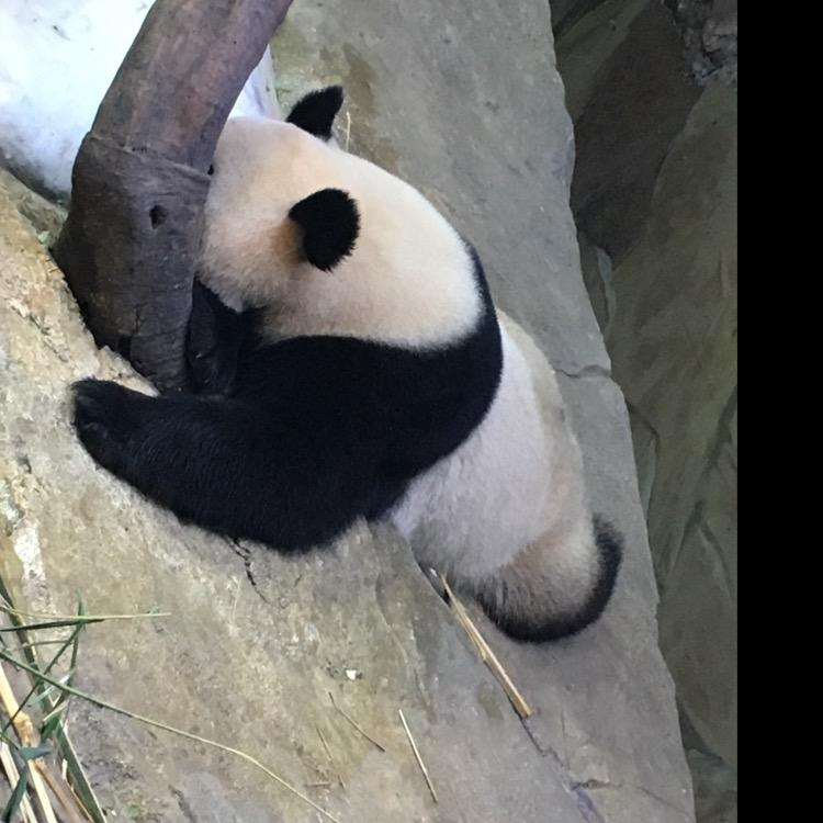我是你李家二大爷