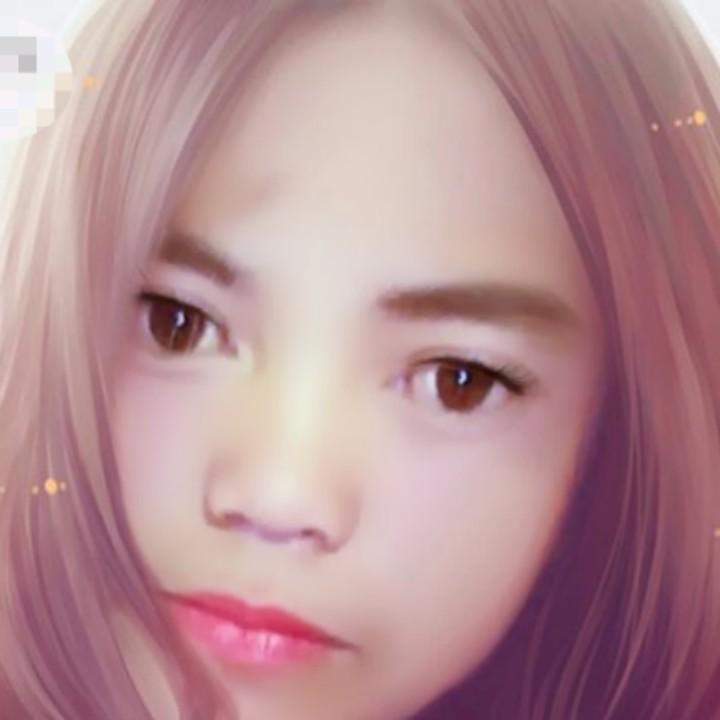 梦之春