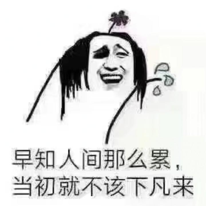 后悔下凡的神仙