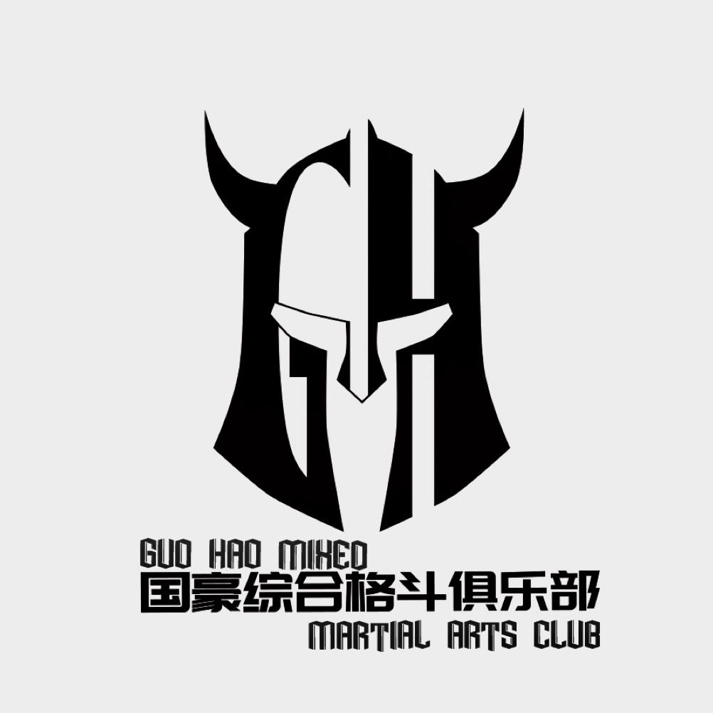 国豪综合格斗