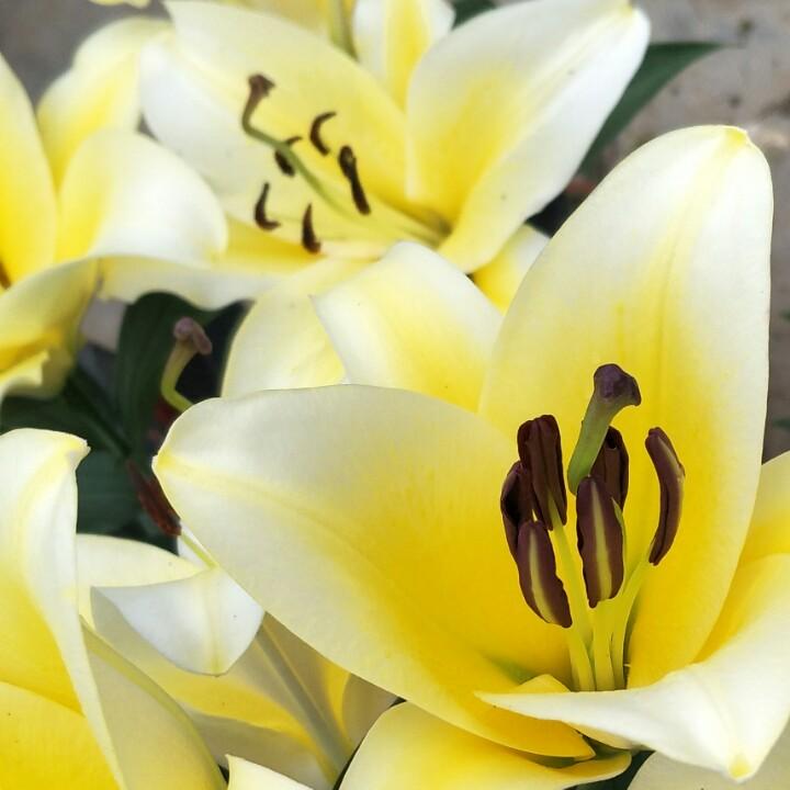 一吕朝气儿🌻（吕兔独处）👻👻👻