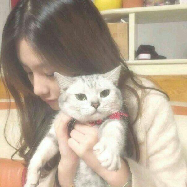 💞ල᭄柠檬心ꦿ᭄࿐