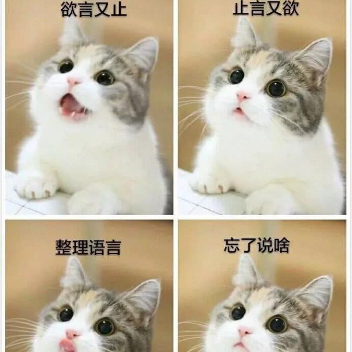 下一秒的等候_216453718