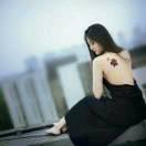 紫飞鱼