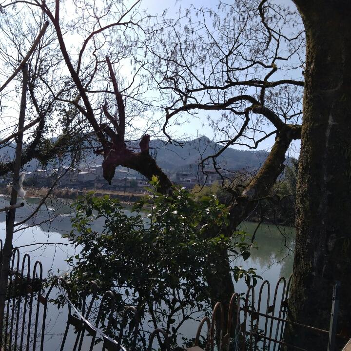 江南水乡