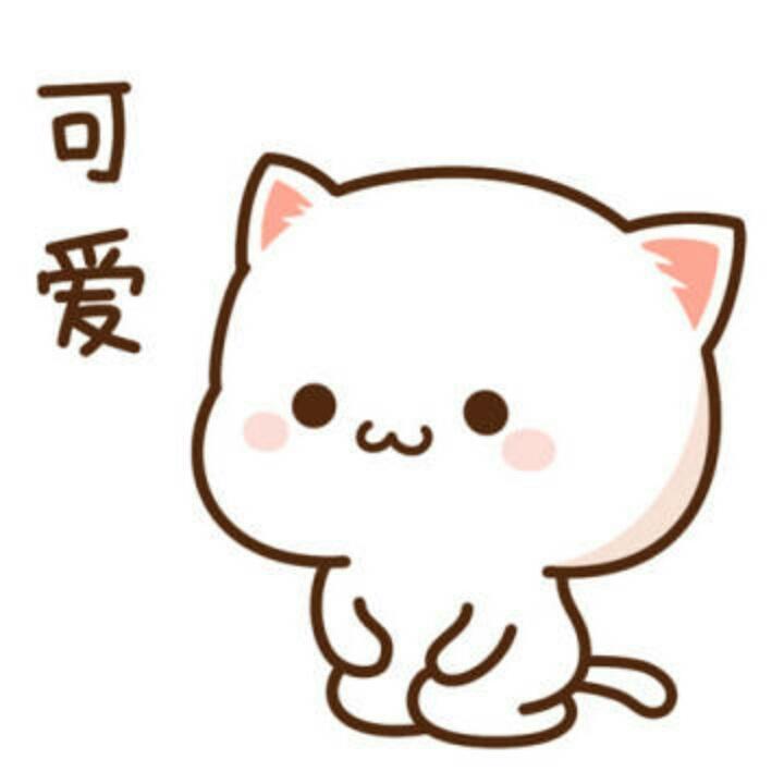 期望