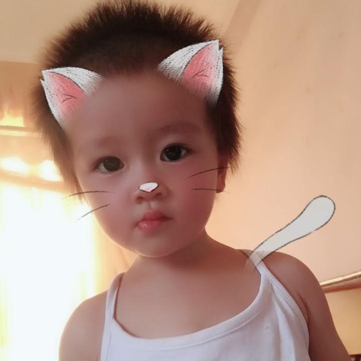 小短腿