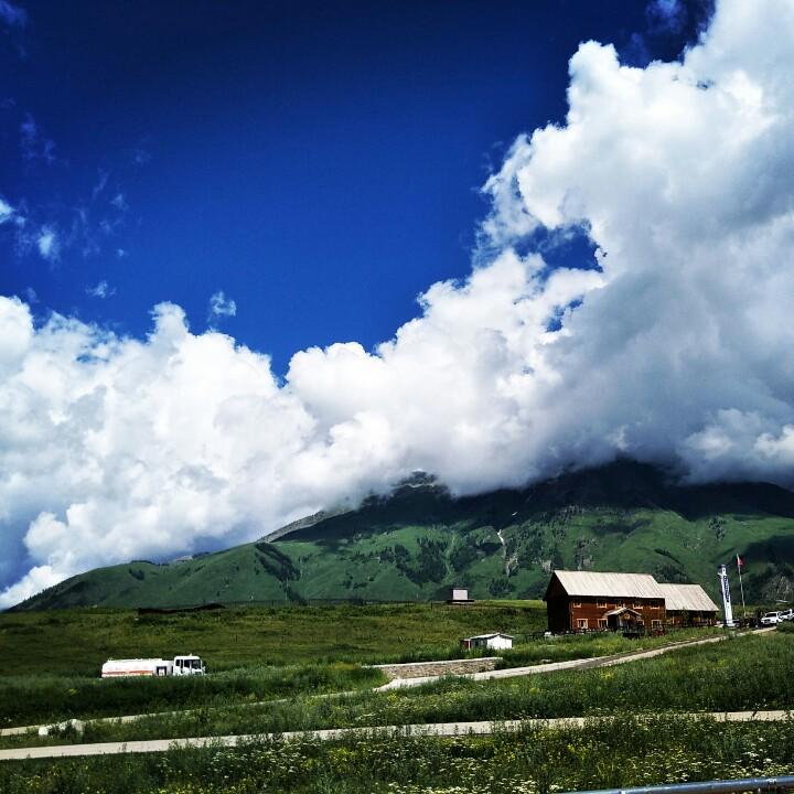 小茹