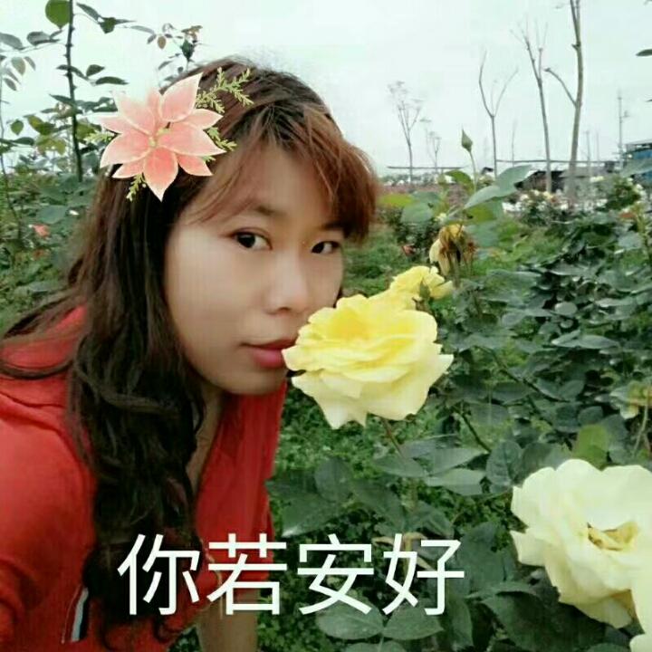 珊珊来迟