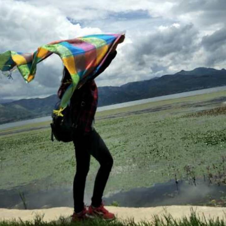 健康快乐平安顺利