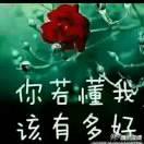 梦想