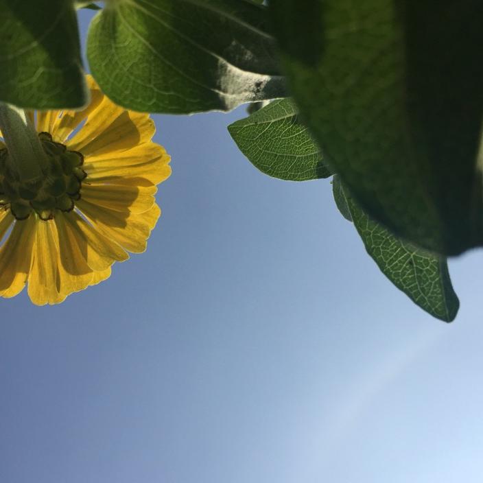 风居住过地方……