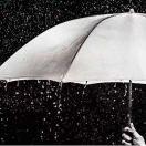 花海.🙌🏻🙌🏻