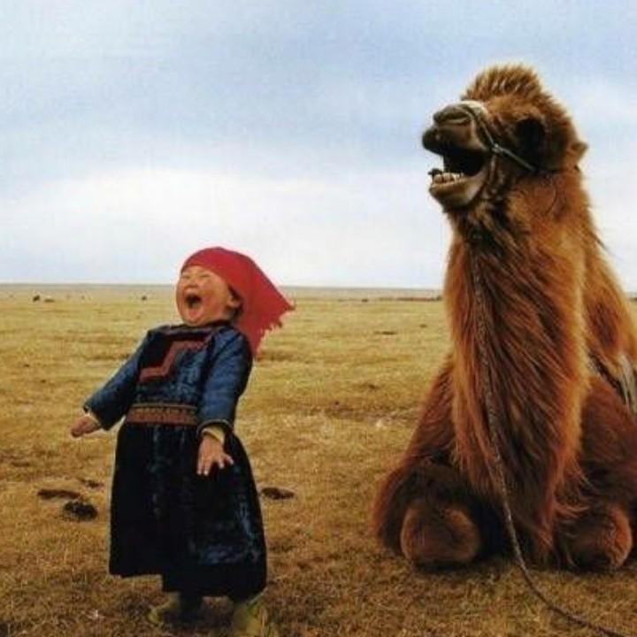 州瑶记