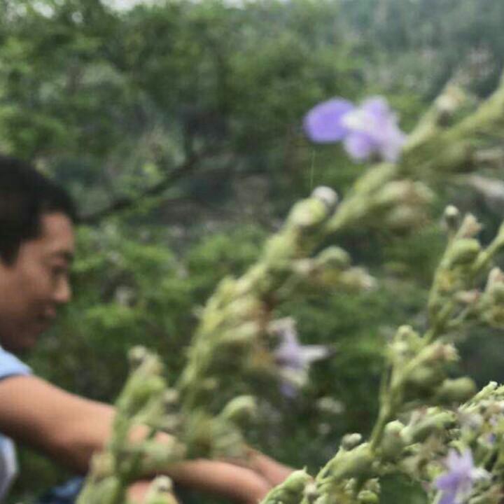 临涣詹勤马蹄烧饼