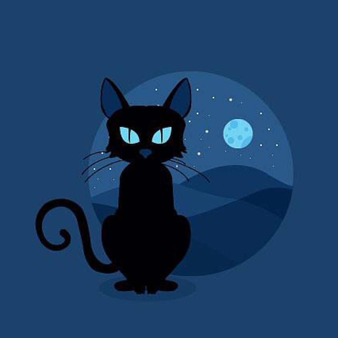 模拟游戏猫哥