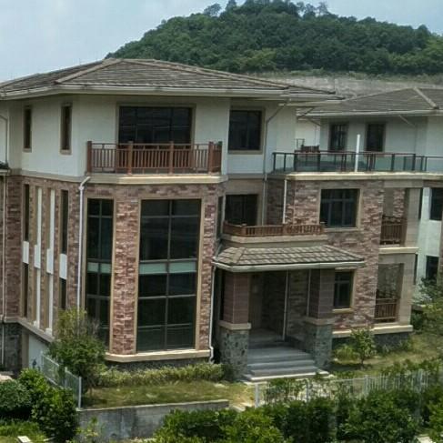 拼搏……………