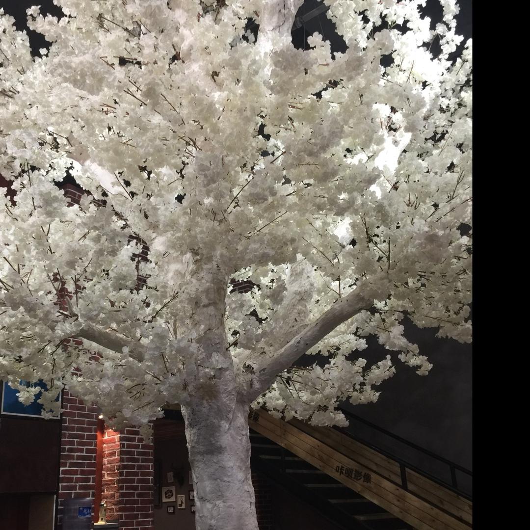 吃着小鱼喝啤酒