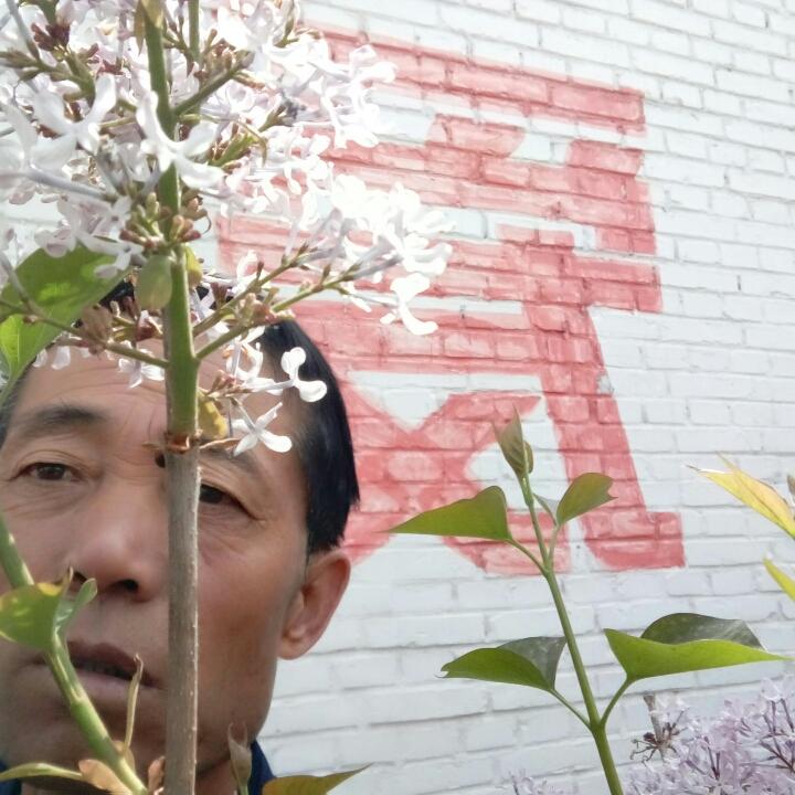 蓝天白云_217654209